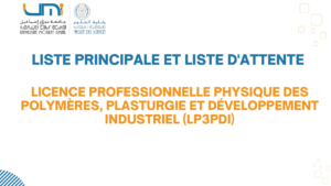 Lire la suite à propos de l’article Liste principale et liste d’attente – Licence Professionnelle Physique des Polymères, Plasturgie et Développement Industriel (LP3PDI)