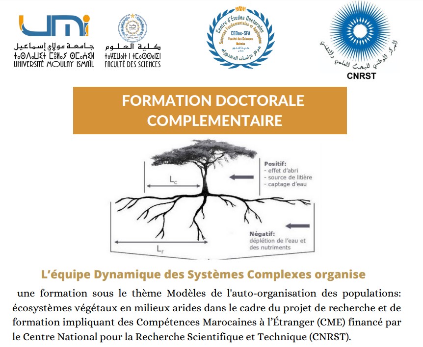 Lire la suite à propos de l’article FORMATION DOCTORALE COMPLEMENTAIRE